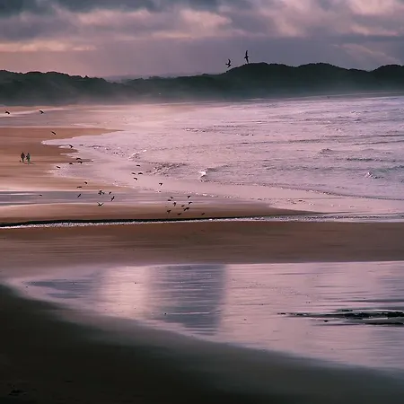 منتجع Trump International Golf Links & Ireland 5*