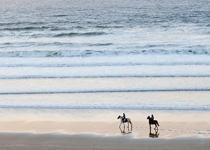 Trump International Golf Links & Ireland 5* דונבג