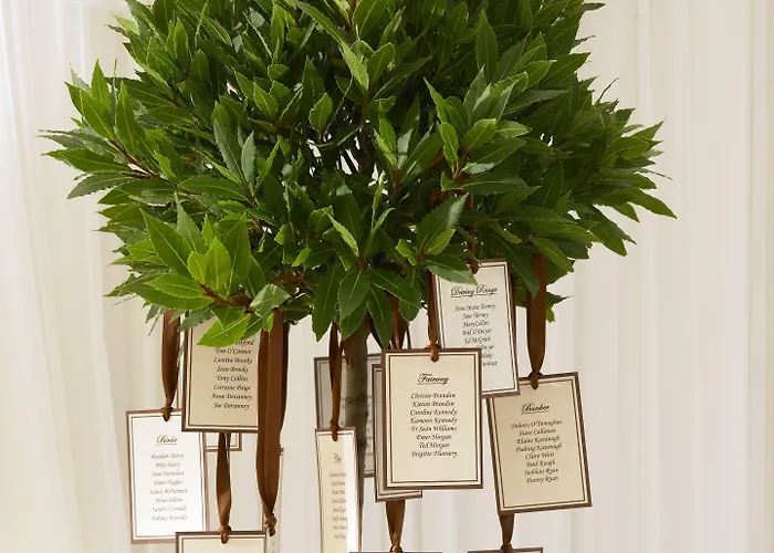 Resort Trump International Golf Links & Ireland